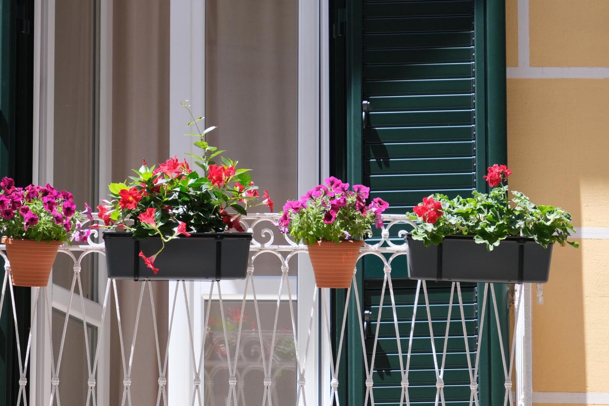 Il Poggiolo Fiorito Hotel Tarente Buitenkant foto